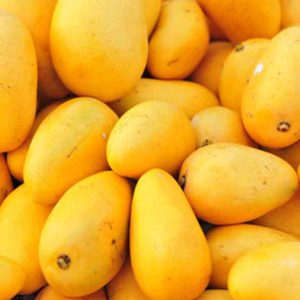 Mangoes مانجو