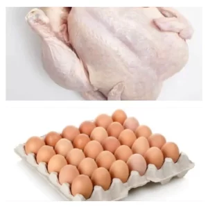 poultry