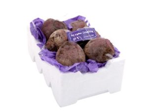 betrootالشمندر