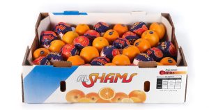 abusura ابوصره